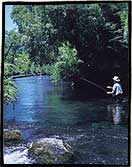 Dry fly fishing for wild trout at the Cumilahue River, Chile. 